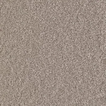 Draufsicht Girloon Cloud 841 Velours Teppichboden